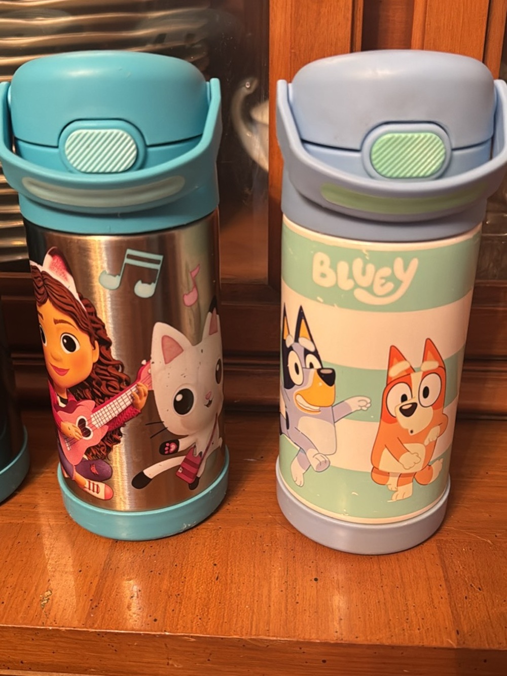 Thermos Kids Water Bottles - Light Blue and Aqua